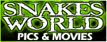Snakes World